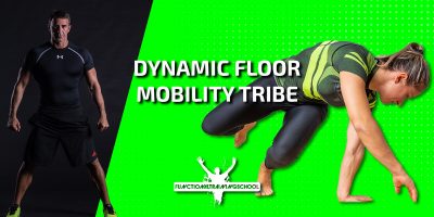Dynamic Floor Mobility Tribe-web Dynamic Floor Mobility Tribe-web