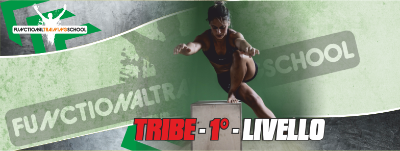 TRIBE
