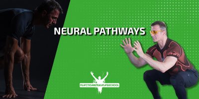 NEURAL PATHWAYS-web 2 NEURAL PATHWAYS-web 2