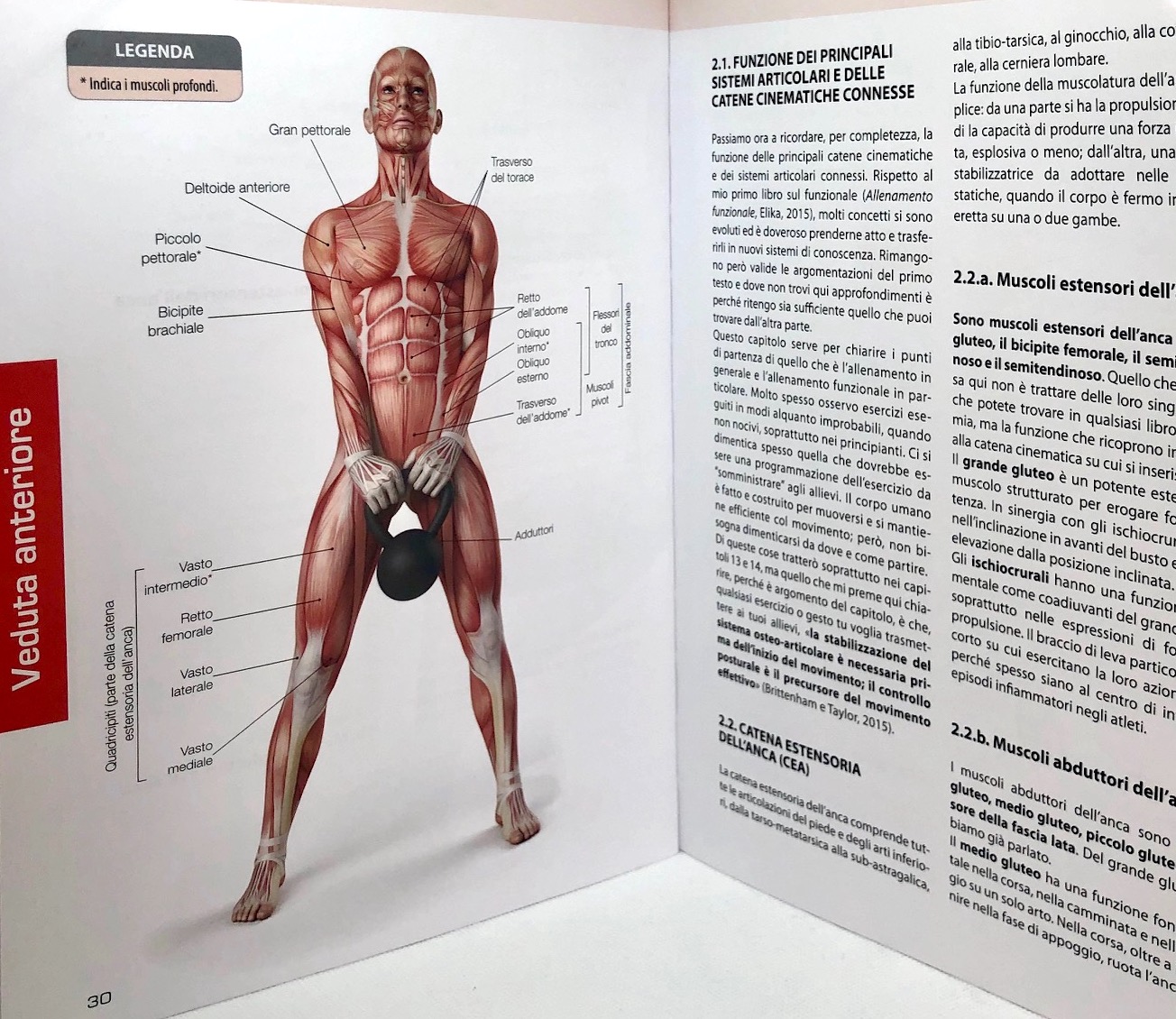 Sistemi Articolari e primi movimenti