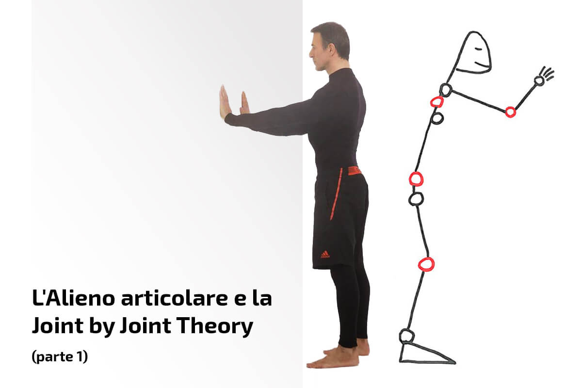 L’Alieno articolare e la joint by joint theory (parte 1)