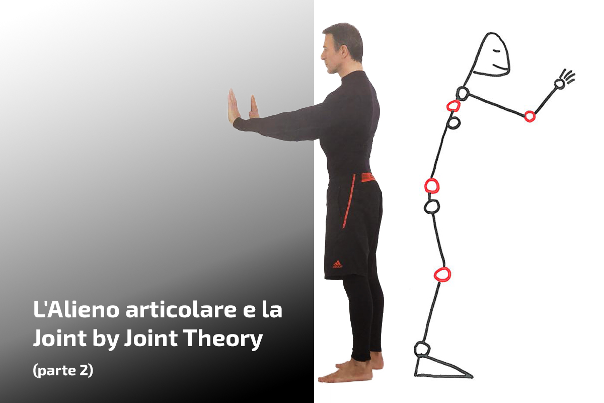 L’Alieno articolare e la joint by joint theory (parte 2)