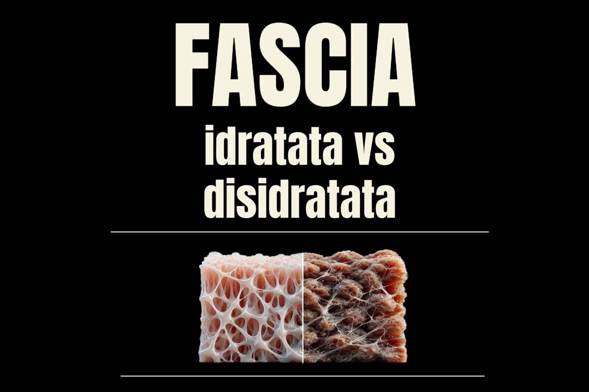 Allenamento miofasciale: quello che vedete voi e quello che vedo io